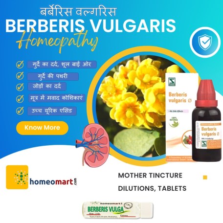 गुर्दे की पथरी में तीव्र दर्द के लिए होम्योपैथी बर्बेरिस वल्गारिस