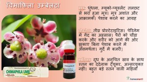 चिमाफिला अम्बेलटा होम्योपैथी दवाएं होम्योपैथी मदर टिंचर क्यू या विभिन्न शक्तियों में dilutions
