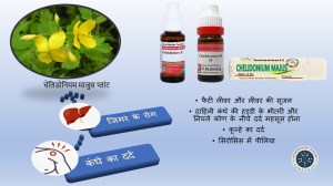 लिवर खराब होने के लक्षण, फैटी लीवर , fatty liver ki dawa