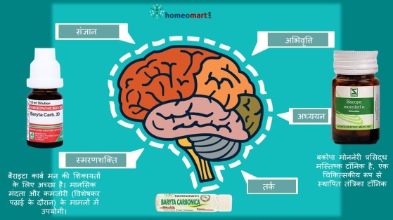 याददाश्त बढ़ाने की होम्योपैथिक दवा