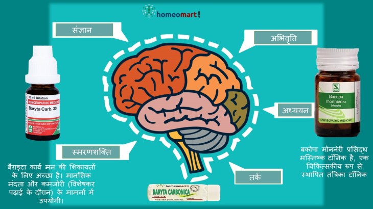 याददाश्त बढ़ाने की होम्योपैथिक दवा