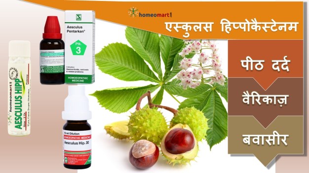 एस्कुलस हिप्पोकैस्टेनम होम्योपैथी दवाएं