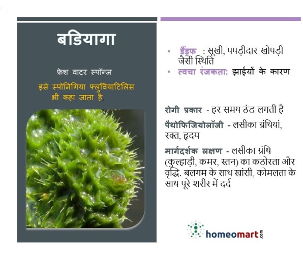 badiaga homeopathy medicine hindi