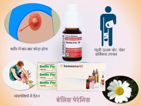 bellis perennis homeopathy in hindi