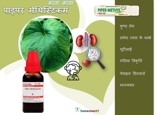 पाइपर मेथिस्टिकम