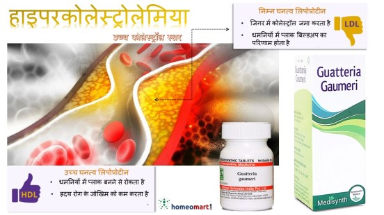उच्च कोलेस्ट्रॉल के लिए होम्योपैथी दवाएं
