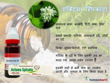 actea spicata homeopathy inhindi