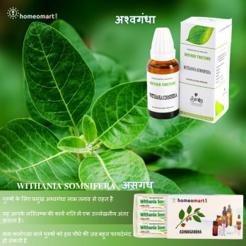 अश्वगंधा लाभ