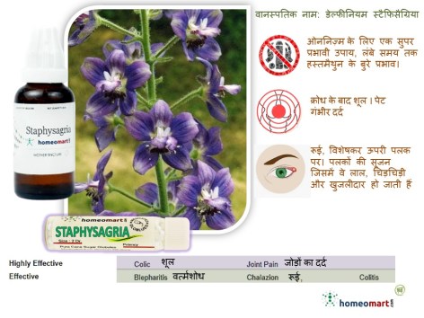 होम्योपैथी स्टैफिसैग्रिया 
