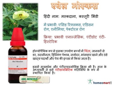 abel moschus homeopathy in Hindi