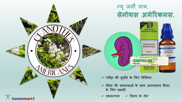 होम्योपैथी में बढ़े हुए प्लीहा ,यकृत की दवा