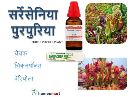 चेचक, चेचक की होम्योपैथी दवा