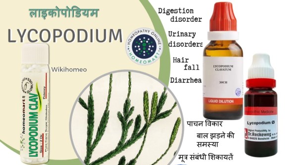 लाइकोपोडियम क्लैवाटम होम्योपैथी लाभ