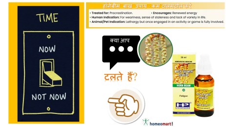 टालमटोल को कैसे रोकें - युक्तियाँ और उपाय