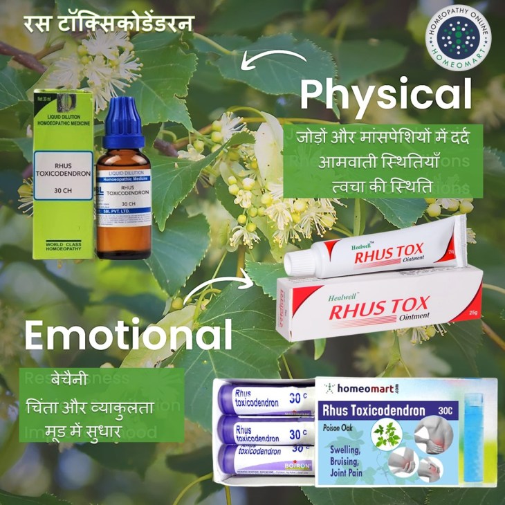 Rhus Tox homeopathy uses benefits in hindi