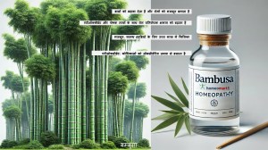 बांस औषधि स्वास्थ्य लाभ