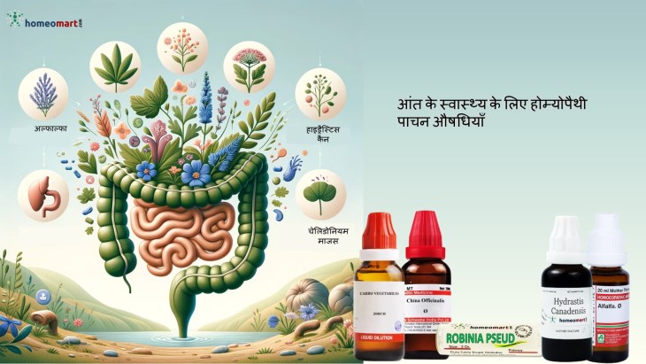  पाचन शक्ति बढ़ाने की होम्योपैथिक दवा