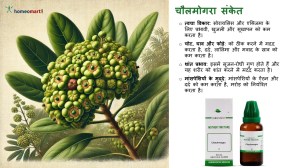 Chaulmoogra Homeopathy Medicine in Hindi 