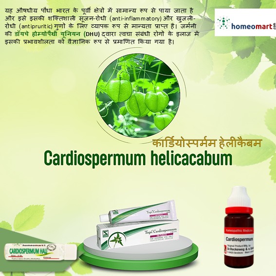 कार्डियोस्पर्मम: सूजन, खुजली और त्वचा की जलन से प्राकृतिक राहत
