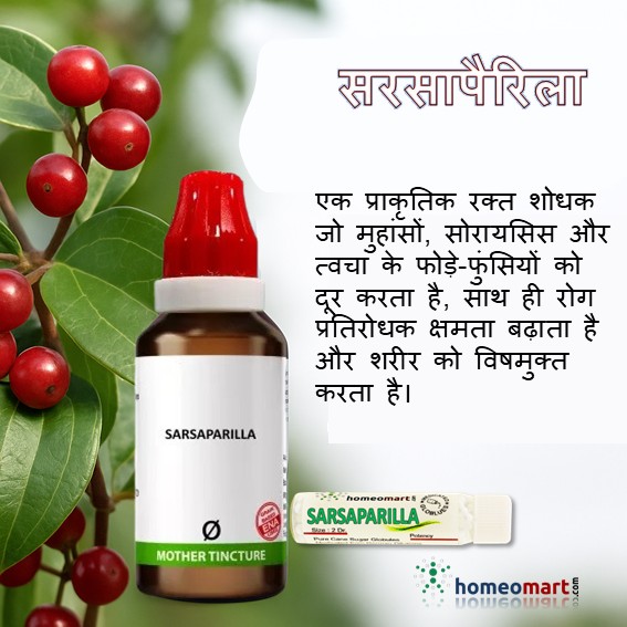 सर्सापरिला होम्योपैथी: किडनी स्टोन, सिस्टाइटिस और स्किन रैश का प्राकृतिक इलाज