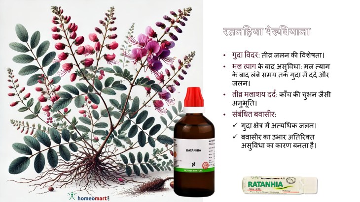 रतनिया होम्योपैथी मेडिसिन: बवासीर, फिशर और पाचन की परेशानियों का प्राकृतिक समाधान