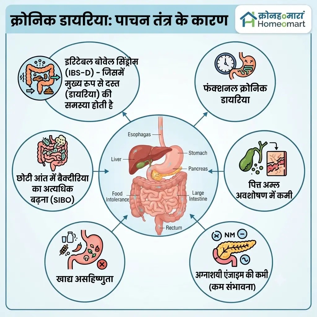 दीर्घकालिक दस्त के कारण होने वाले लक्षण और उपचार